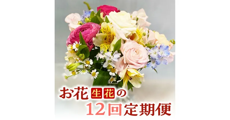 【ふるさと納税】お花（生花）の12回定期便【チトのゆび】 花 定期便 生花 お花 鳥取県 倉吉市 お楽しみ おまかせ お任せ 母の日 父の日 敬老の日