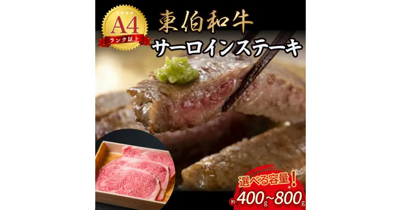 【ふるさと納税】 東伯和牛サーロインステーキ 約400g～800g 国産 牛肉 和牛 黒毛和牛 ブランド牛 A4ランク 以上 サーロイン ステーキ