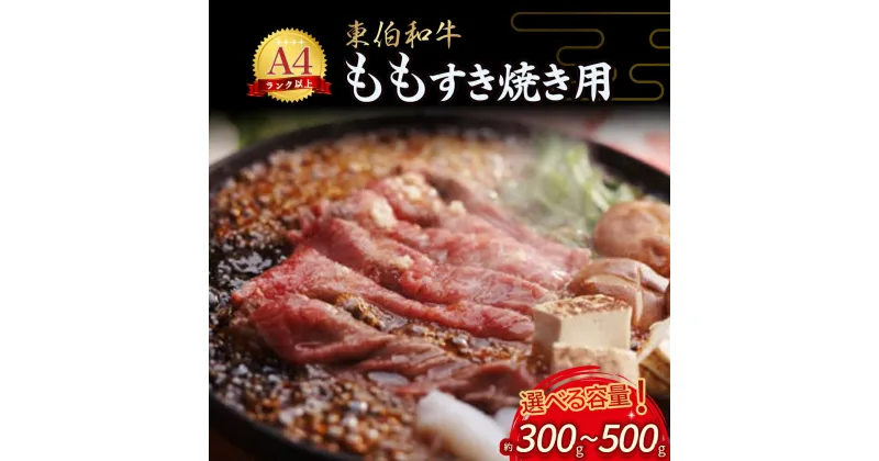 【ふるさと納税】 東伯和牛もも すき焼き用 （300g～500g） 国産 牛肉 和牛 黒毛和牛 赤身 モモ すき焼き