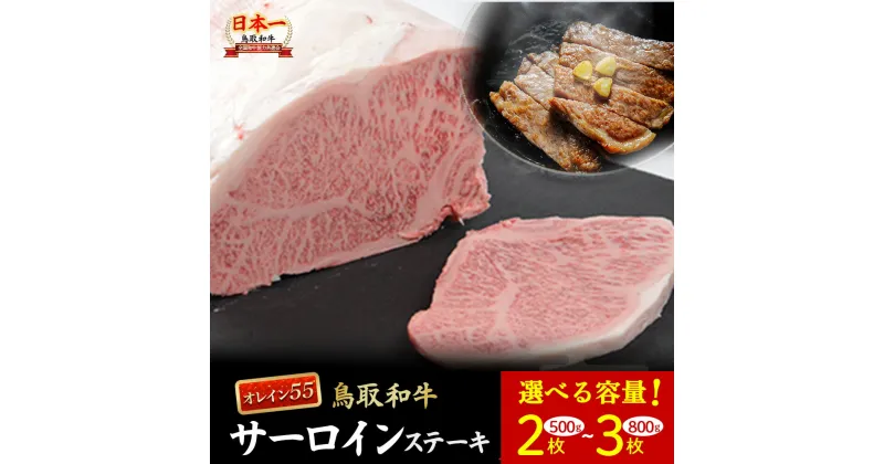 【ふるさと納税】鳥取和牛 オレイン55 サーロインステーキ 500g～800g（2枚～3枚） 国産 牛肉 和牛 黒毛和牛 サーロイン ステーキ サーロインステーキ 高級 希少 鳥取県 倉吉市