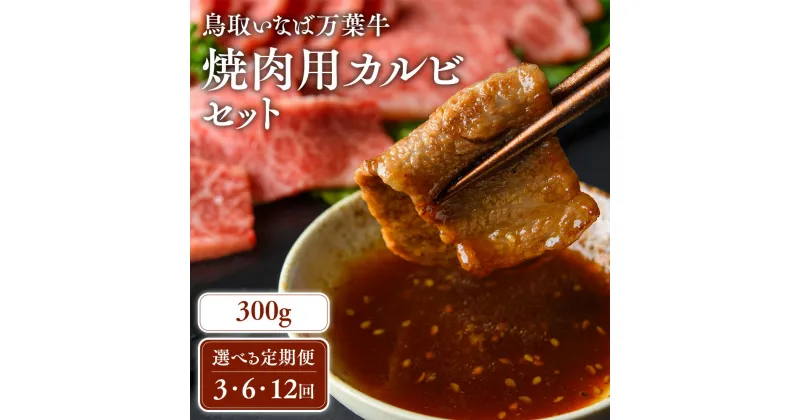 【ふるさと納税】【定期便】鳥取いなば万葉牛 焼肉用 カルビ セット ( 300g × 3回 ) ～ ( 300g × 12回 ) 鳥取和牛 国産 牛肉 和牛 黒毛和牛 カルビ セット 焼肉 焼き肉 肉 ブランド牛 冷凍 定期便 鳥取県 倉吉市