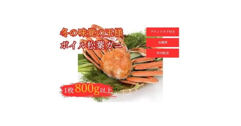 【ふるさと納税】【和星水産】タグ付き ボイル松葉ガニ 1枚（800g以上） 年内配送 松葉ガニ カニ ズワイガニ カニ爪 冷蔵 かにしゃぶ カニ刺身 ずわいがに 鮮度抜群 国産 高級 タグ付き 鳥取県 倉吉市