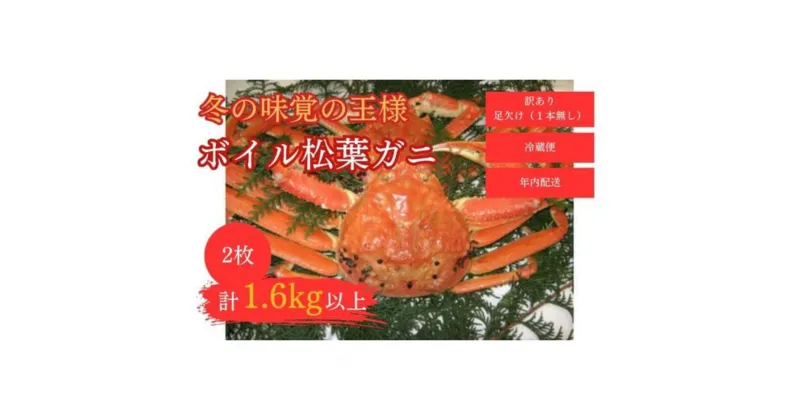 【ふるさと納税】【和星水産】訳あり ボイル松葉ガニ 2枚（計1.6kg以上） 年内配送 松葉ガニ カニ ズワイガニ カニ爪 訳あり わけあり 冷蔵 かにしゃぶ カニ刺身 ずわいがに 鮮度抜群 国産 高級 足欠け 足かけ 鳥取県 倉吉市