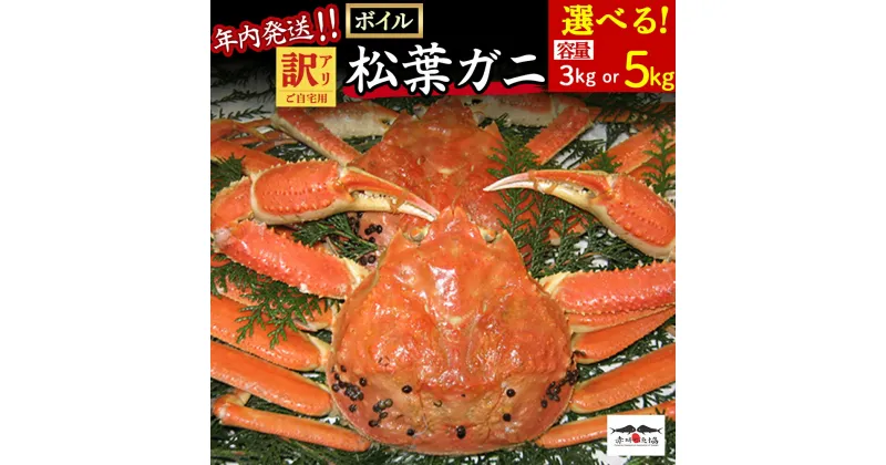 【ふるさと納税】 年内発送！ 訳あり ボイル松葉ガニ (3kg～5kg) 着日指定不可 松葉ガニ カニ ズワイガニ カニ爪 冷蔵 ずわいがに 鮮度抜群 国産 高級 鳥取県 倉吉市【赤碕町漁業協同組合】