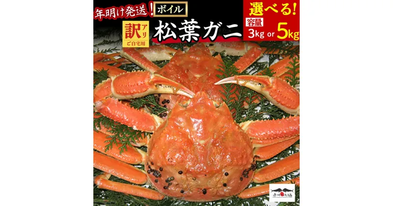 【ふるさと納税】 年明け発送！ 訳あり ボイル松葉ガニ (3kg～5kg) 着日指定不可 松葉ガニ カニ ズワイガニ カニ爪 冷蔵 ずわいがに 鮮度抜群 国産 高級 鳥取県 倉吉市【赤碕町漁業協同組合】