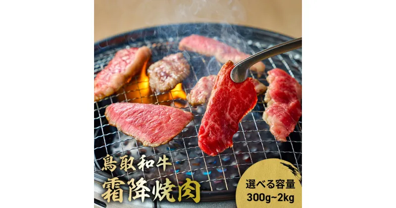 【ふるさと納税】鳥取和牛 霜降焼肉 300g～2kg(500g×4) 国産 ブランド牛 牛肉 霜降り 焼き肉 焼肉 和牛 黒毛和牛 肉 ロース バラ BBQ 冷凍 鳥取県 倉吉市