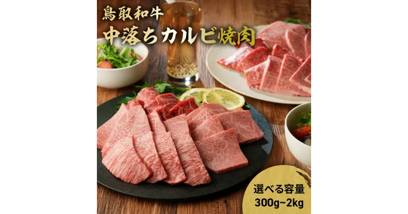 【ふるさと納税】鳥取和牛 中落ちカルビ焼肉 300g～2kg(500g×4) ブランド牛 牛肉 焼き肉 焼肉 和牛 黒毛和牛 肉 カルビ バラ BBQ 冷凍 鳥取県 倉吉市