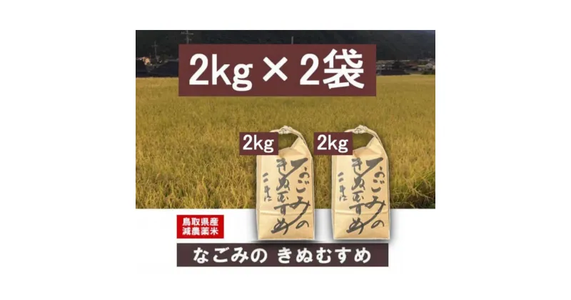 【ふるさと納税】 令和6年産 なごみのきぬむすめ（4kg） 新米 お米 米 こめ コメ 白米 ブランド おいしい 健康 産地直送 米4キロ きぬむすめ 倉吉