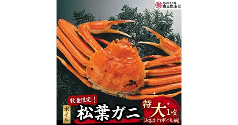 【ふるさと納税】【倉吉魚市】ボイル松葉がに（特大）ボイル前 1kg以上 ボイル 松葉ガニ ズワイガニ カニ爪 冷蔵 数量 期間 限定 数量限定 カニ ずわいがに 国産 倉吉市