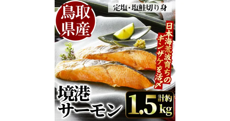 【ふるさと納税】＜数量限定＞鳥取県産活〆「境港サーモン」(定塩・塩鮭切り身)(1/4カット真空パック×4・合計約1.5kg)鮭 国産 地魚 魚介 海鮮ギンザケ 脂 塩 切り身 冷凍 【sm-AB001】【弓ヶ浜水産】