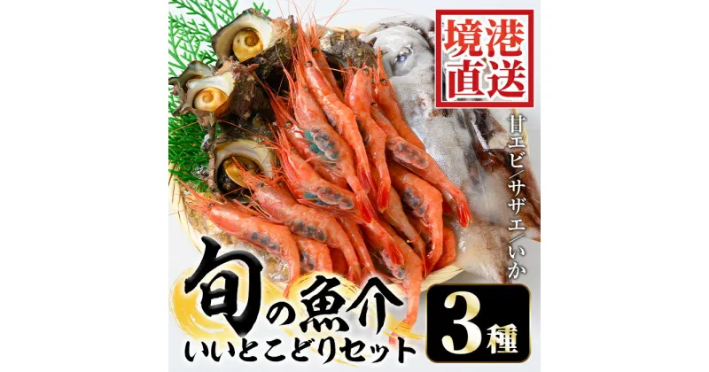 【ふるさと納税】＜選べる＞＜6～8月配送不可＞甘えび/旬のいか/サザエの詰合せ 国産 魚介 海鮮 海の幸 海老 エビ 甘海老 イカ サザエ 冷蔵 ギフト【sm-AA001】【いたくら】