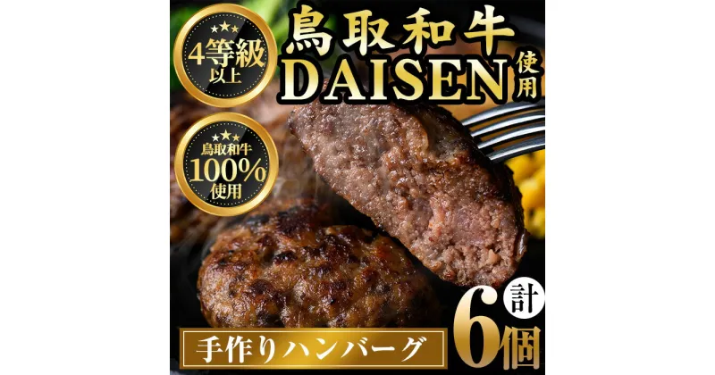 【ふるさと納税】鳥取和牛DAISENハンバーグ(計6個)国産 鳥取県産 大山 手作り 牛肉 和牛 お肉 肉 惣菜 お取り寄せ ギフト プレゼント 誕生日プレゼント お祝い 贈答品【sm-AO001】【大幸】