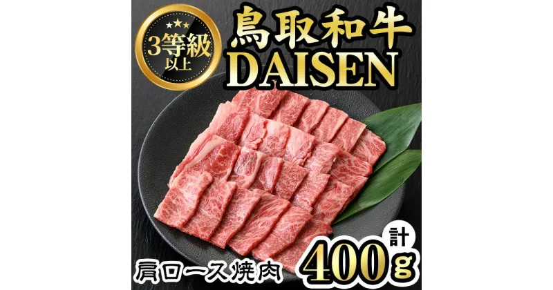 【ふるさと納税】鳥取和牛DAISEN肩ロース焼肉用(計400g) 国産 鳥取県産 肩ロース 大山 牛肉 お肉 肉 お取り寄せ ギフト 贈答 プレゼント 誕生日プレゼント お祝い【sm-AO003】【大幸】