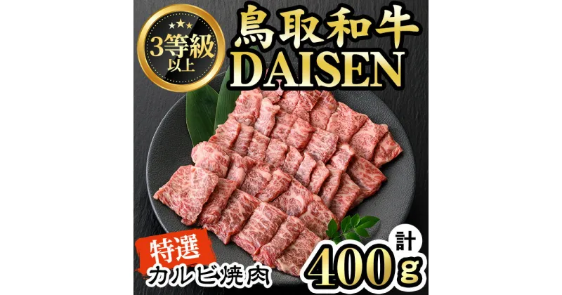 【ふるさと納税】鳥取和牛DAISEN特選カルビ焼肉用(計400g) 国産 鳥取県産 バラ カルビ 大山 牛肉 お肉 肉 お取り寄せ ギフト 贈答 プレゼント 冷凍【sm-AO002】【大幸】