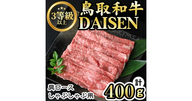 【ふるさと納税】鳥取和牛DAISEN肩ロースしゃぶしゃぶ用(計400g)国産 鳥取県産 肩ロース 大山 牛肉 お肉 肉 お取り寄せ ギフト 贈答 プレゼント 冷凍【sm-AO005】【大幸】