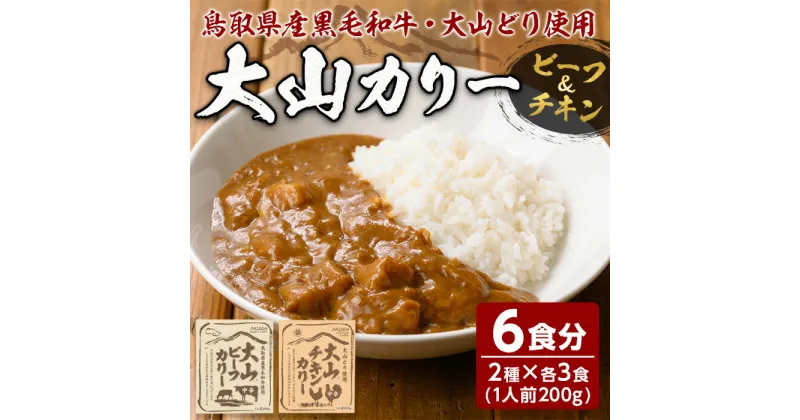 【ふるさと納税】大山カリーセット(2種・計6個)鳥取県 境港市 カレーライス カレー ビーフカレー ビーフカリー チキンカレー チキンカリー 黒毛和牛 大山どり 鶏 鳥 ブランド鶏 本格 本格派 レトルト 国産 野菜【sm-AU001】【鳥取缶詰】