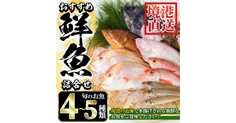 【ふるさと納税】＜選べる＞＜7～8月・年末年始配送不可＞おすすめ鮮魚詰め合わせ(4～5種類)魚 魚介 魚貝類 鮮魚 新鮮 海鮮 境港 旬 詰め合わせ セット【sm-AA003】【いたくら】