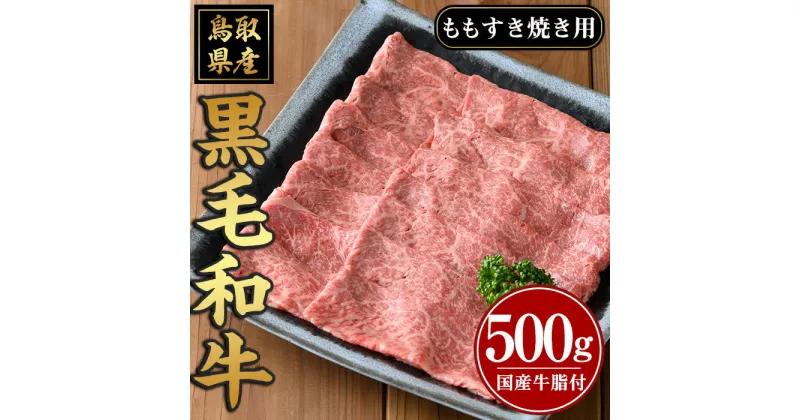 【ふるさと納税】鳥取黒毛和牛 すき焼き用(計500g)国産 牛肉 黒毛和牛 ビーフ 赤身 もも モモ もも肉 すき焼き ギフト 冷凍【sm-AP003】【いろは精肉本店】