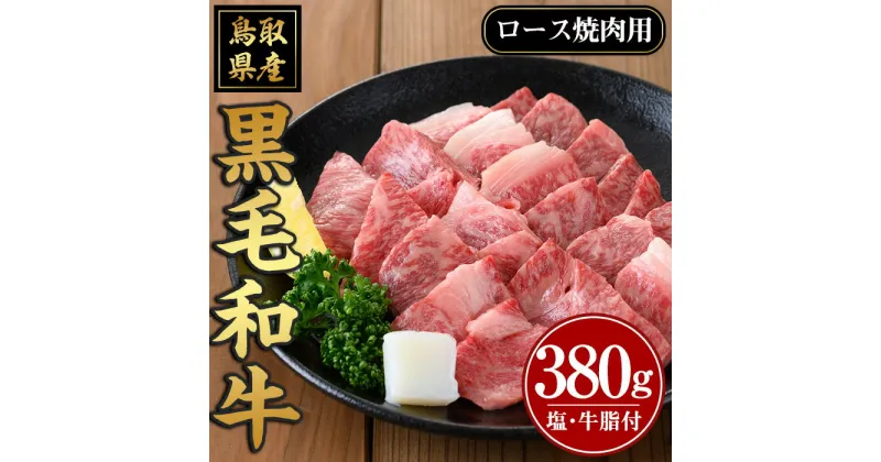 【ふるさと納税】鳥取黒毛和牛ロース焼肉用(380g)国産 牛肉 黒毛和牛 ビーフ 赤身 ロース スライス 冷凍 焼肉 焼き肉 BBQ バーベキュー ギフト 贈答 【sm-AP006】【いろは精肉本店】