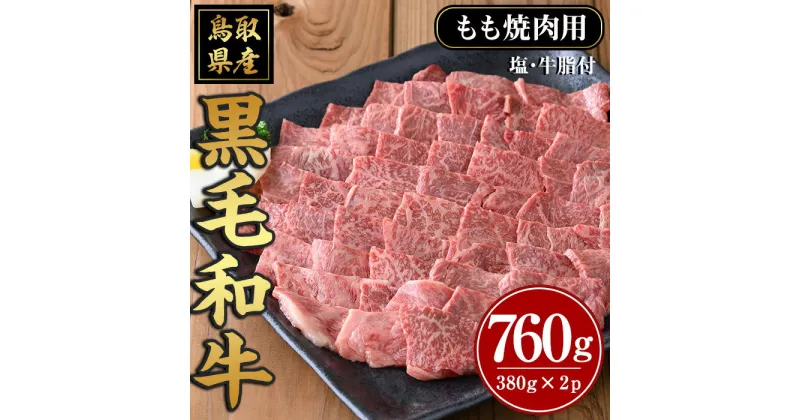 【ふるさと納税】鳥取黒毛和牛もも焼肉用(計760g)国産 鳥取県産 もも 牛肉 お肉 肉 牛脂 冷凍 オリジナル調味塩 お取り寄せ ギフト プレゼント 誕生日プレゼント お祝い 【sm-AP008】【いろは精肉本店】