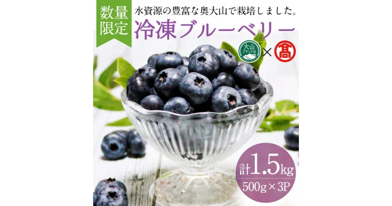 【ふるさと納税】＜数量限定＞冷凍ブルーベリー(500g×3P・計1.5kg) 鳥取県 ブルーベリー 果物 くだもの フルーツ 冷凍 大山【T-BI4】【大山ブランド会】