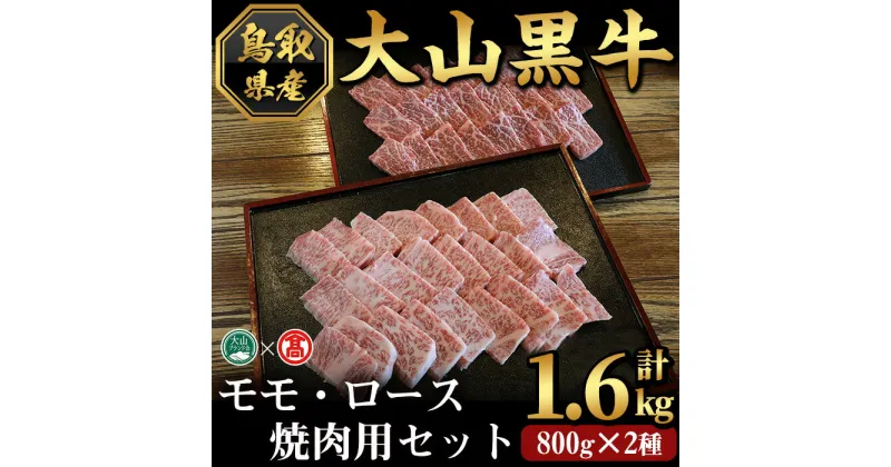 【ふるさと納税】大山黒牛焼肉セット(モモ800g・ロース800g)鳥取県 大山 境港市 牛肉 肉 焼肉用 もも ロース セット 2種 冷凍 贈答 プレゼント ギフト【T-AC16】【大山ブランド会】