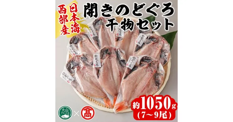 【ふるさと納税】日本海西部産 開きのどぐろ干物B(1050g・7～9尾)干物 ひもの 旬 のどぐろ 鮮魚 魚 魚介 海鮮 海の幸 水産加工 お取り寄せ 贈答用 ギフト おつまみ セット【T-AN3】【大山ブランド会】