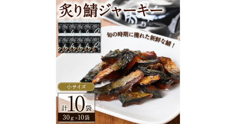 【ふるさと納税】炙り鯖ジャーキー(30g×10袋)鳥取県 境港市 炙り鯖ジャーキー さば サバ おつまみ おやつ 小袋 個包装 食べきり【sm-CD003】【羽根】