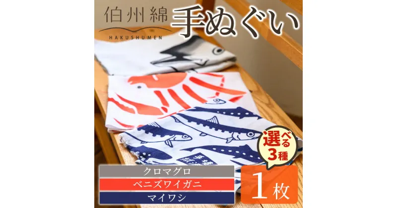 【ふるさと納税】＜絵柄が選べる＞伯州綿てぬぐい(1枚)鳥取県 境港市 手ぬぐい ハンカチ コットン 綿 伯州綿 日用品 雑貨 オーガニックコットン プレゼント 退職 転勤 出産【sm-BJ003】【境港市農業公社】