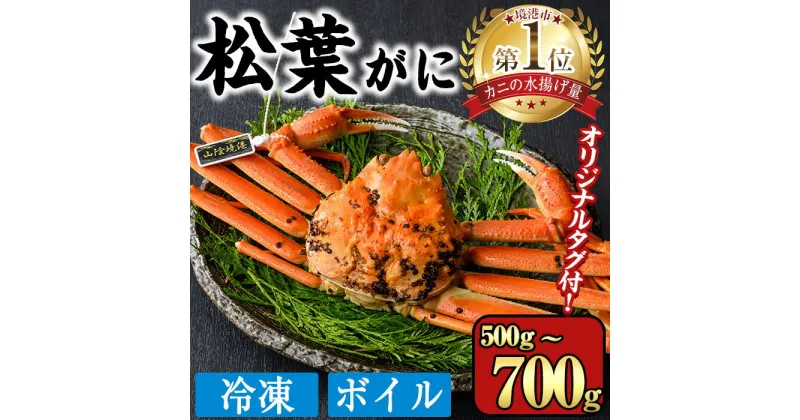 【ふるさと納税】＜数量限定＞＜オリジナルタグ付き＞山陰産冷凍ボイル松葉ガニ姿(500g～700g・1尾入)国産 かに カニ 鳥取県 境港市 松葉ガニ 松葉蟹 タグ付 ボイル 海鮮 蟹味噌 かに味噌 鍋 ギフト 贈答 冷凍【sm-CS004】【オーク】