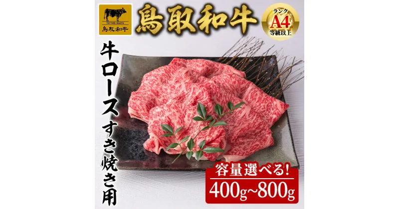 【ふるさと納税】＜容量選べる＞鳥取県産黒毛和牛牛ロース すき焼き用(計400g～800g) 国産 鳥取和牛 黒毛和牛 牛肉 赤身 ロース すき焼き しゃぶしゃぶ ギフト 贈答 プレゼント 【sm-DH002】【カタセイ】