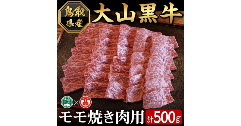 【ふるさと納税】大山黒牛モモ焼肉用(500g)鳥取県 大山 境港市 牛肉 肉 和牛 焼肉用 もも 冷凍 贈答 プレゼント ギフト【T-AC4】【大山ブランド会】