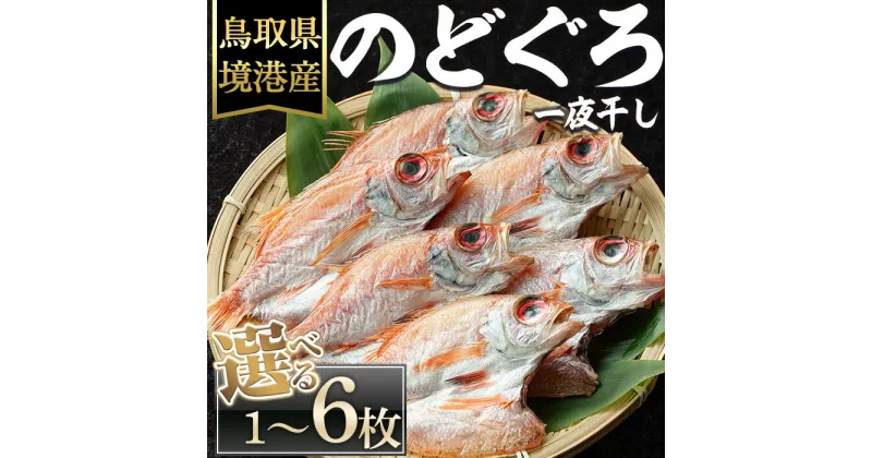 【ふるさと納税】＜数量限定・容量が選べる＞のどぐろ一夜干し(1～6枚) 国産 魚介 干物 干し物 白身 海の幸 のどぐろ 赤ムツ 冷凍 おかず おつまみ お土産 【sm-DG001】【木村鮮魚店】