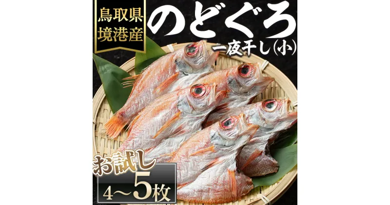 【ふるさと納税】＜数量限定・お試し＞のどぐろ一夜干し(小サイズ・4～5枚) 国産 魚介 干物 干し物 白身 海の幸 のどぐろ 赤ムツ 冷凍 おかず おつまみ お土産 【sm-DG003】【木村鮮魚店】