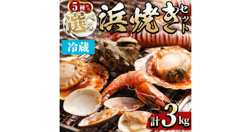 【ふるさと納税】＜内容を選べる＞浜焼きセット(約3kg)蟹 紅ズワイガニ ホタテ 真牡蠣 サザエ イカ串 ハマグリ ブラックタイガー アワビ 魚介 海鮮 海の幸 浜焼 セット 三光水産 新鮮 冷蔵 【sm-DD015】【Workplays】