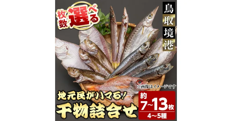 【ふるさと納税】＜選べる＞人気干物詰め合わせセット(約7～13枚) 国産 魚介 干物 干し物 海の幸 エテカレイ アジ カマス イカ タイ 冷凍 おかず おつまみ お土産【sm-DG004】【木村鮮魚店】