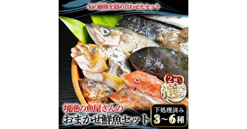 【ふるさと納税】＜選べる容量＞境港の魚屋さんのおまかせ鮮魚セット(3～6種) 下処理済み 海鮮 鮮魚 詰め合わせ 海の幸 【sm-DD013】【Workplays】