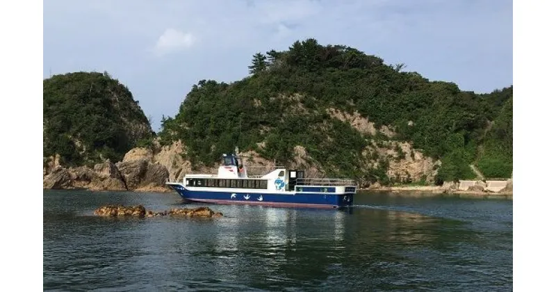 【ふるさと納税】【62002】浦富海岸島めぐり遊覧船　グラスボート乗船券　｜鳥取県 岩美町 観光 マリンスポーツ マリンアクティビティ グラスボード 体験 海 日本海 浦富海岸 遊覧船 レジャー