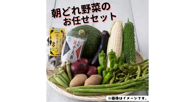 【ふるさと納税】【32001】朝採れ岩美の野菜おまかせセット｜鳥取県 岩美町 野菜 詰合せ 新鮮 セット 朝どれ やさい