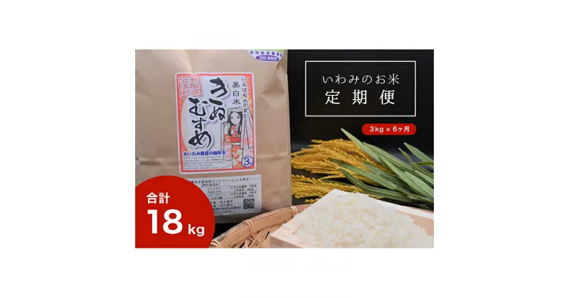 【ふるさと納税】【T-1】【定期便6回】いわみのお米（きぬむすめ）3kg×6ヶ月 令和6年産｜鳥取県 岩美町 米 おこめ 白米 定期便 令和6年産