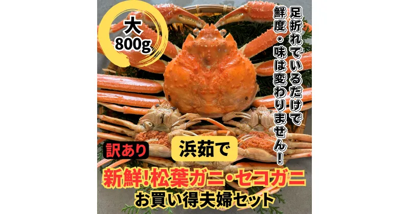 【ふるさと納税】【22019】鳥取網代港【訳あり】浜茹で！松葉ガニ・セコガニセット（大）【さかなや新鮮組】｜鳥取県 岩美町 蟹 かに カニ 松葉がに セコがに ズワイガニ 魚介 冷蔵