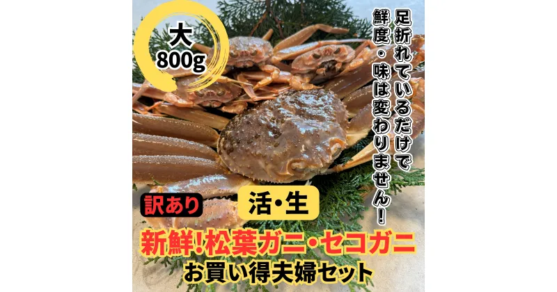 【ふるさと納税】【22020】鳥取網代港【訳あり】活！松葉ガニ・セコガニセット（大）【さかなや新鮮組】｜鳥取県 岩美町 蟹 かに カニ 松葉がに セコがに ズワイガニ 新鮮 魚介 冷蔵