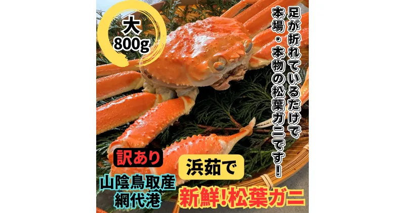 【ふるさと納税】【22021】鳥取網代港【訳あり】浜茹で！松葉ガニ（大）800g【さかなや新鮮組】｜鳥取県 岩美町 蟹 かに カニ 松葉がに ズワイガニ ボイル 冷蔵