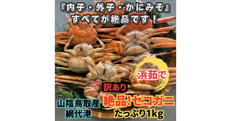 【ふるさと納税】【22031】鳥取網代港【訳あり】浜茹で！絶品セコガニ1kgセット 11月以降順次発送【さかなや新鮮組】｜鳥取県 岩美町 蟹 かに カニ セコがに セコガニ 親がに ズワイガニ 魚介 冷蔵