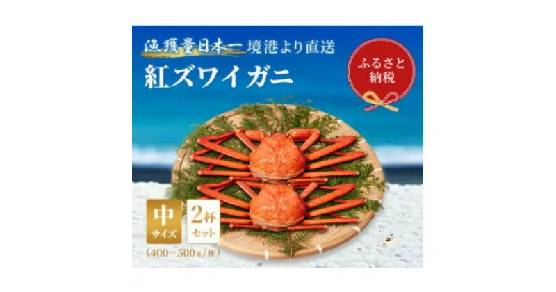 【ふるさと納税】【蟹セレブ】ズワイガニ(紅ズワイガニ)中2杯セット(400～500g×2)【配送不可地域：離島・北海道・沖縄県・東北・関東・信越、北陸・東海・九州】【1543628】