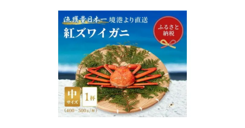 【ふるさと納税】【蟹セレブ】ズワイガニ(紅ズワイガニ)中1杯(400～500g×1)【配送不可地域：離島・北海道・沖縄県・東北・関東・信越、北陸・東海・九州】【1543627】