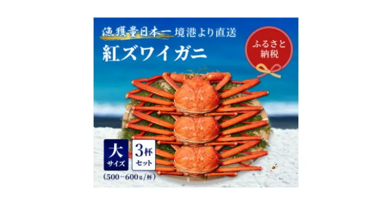 【ふるさと納税】【蟹セレブ】ズワイガニ(紅ズワイガニ)大3杯セット(500～600g×3)【配送不可地域：離島・北海道・沖縄県・東北・関東・信越、北陸・東海・九州】【1543626】