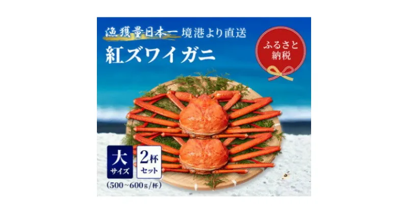 【ふるさと納税】【蟹セレブ】ズワイガニ(紅ズワイガニ)大2杯セット(500～600g×2)【配送不可地域：離島・北海道・沖縄県・東北・関東・信越、北陸・東海・九州】【1543624】