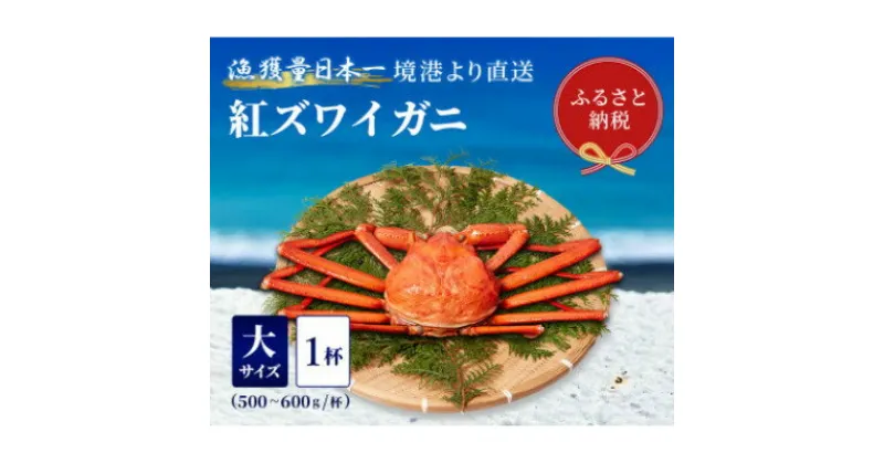 【ふるさと納税】【蟹セレブ】ズワイガニ(紅ズワイガニ)大1杯(500～600g×1)【配送不可地域：離島・北海道・沖縄県・東北・関東・信越、北陸・東海・九州】【1543623】