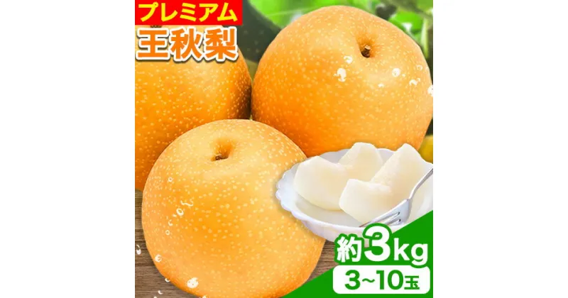 【ふるさと納税】プレミアム 王秋梨 約3kg (3~10玉) 高間商店《11月上旬-1月上旬頃出荷》鳥取県 八頭町 梨なし ナシ 果物 フルーツ 厳選　先行予約　ふるさと納税　返礼品　国産　高間商店　　甘い　王秋梨　高糖度　冷蔵便